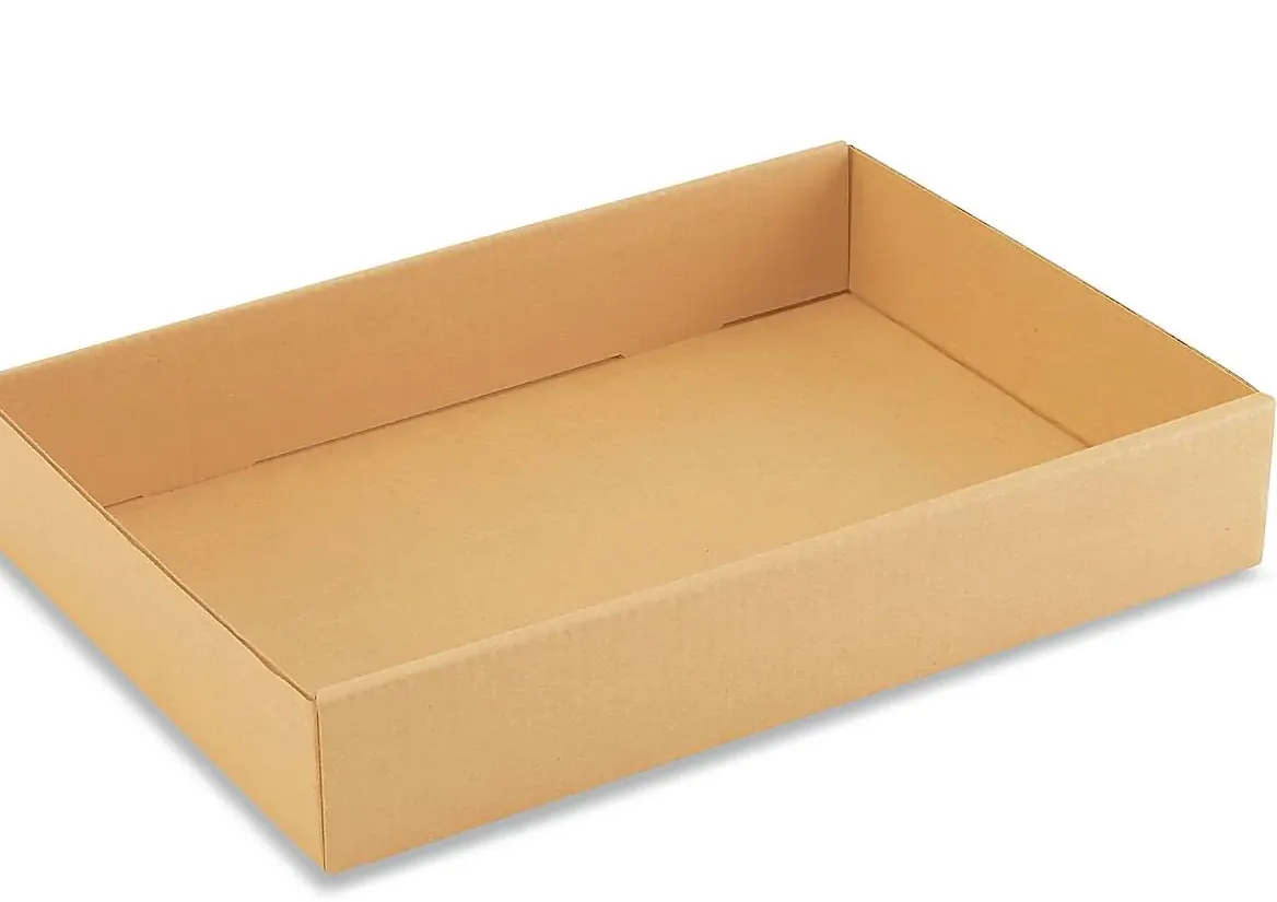 CYLSA carton y laminas del norte